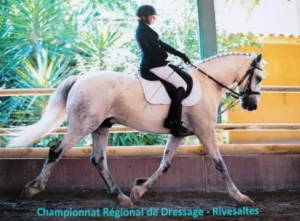 concours para dressage tully