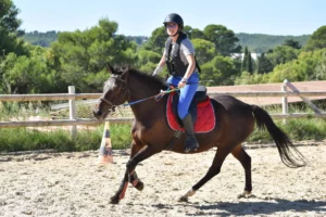 louise para dressage tully