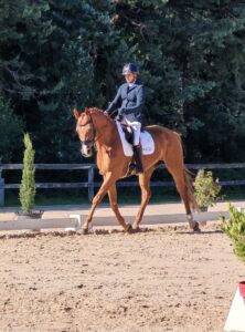 Nathalie et Eclipse en concours