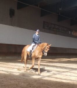 Nathalie et Eclipse en concours